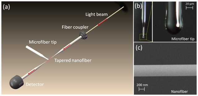 Fig. 3 from Nondestructive measurement of nanofiber diameters using microfiber tip.