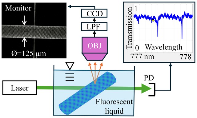 Fig. 2 from Observation of spectrally continuous resonance enhancement by mode coalescence.