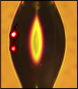 Fig. 1(e) superposition of the whispering-gallery mode and liquid droplet used for evaporation sensing